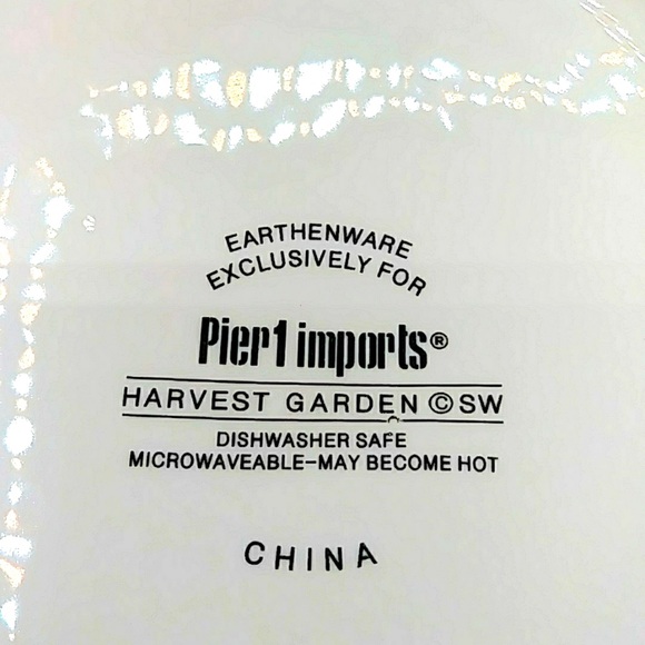 Pier 1 Autumn Pumpkin & Squash Large Bowl - Picture 3 of 6